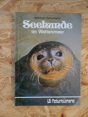 Seehunde im Wattenmeer