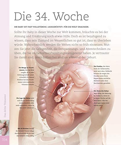 Alles über meine Schwangerschaft Tag für Tag