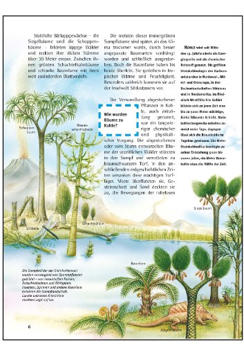 Was ist was, Band 031: Bäume