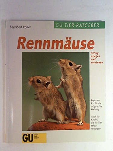 Rennmäuse richtig pflegen und verstehen