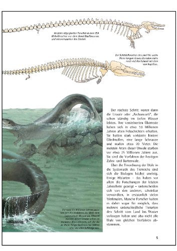 Was ist was, Band 085: Wale und Delfine