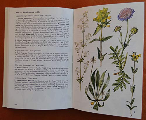 BLV Bestimmungsbuch. Pflanzenführer. Über 1400 Pflanzenarten Deutschlands und der Nachbarländer, davon 1020 farbige abgebildet