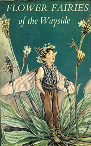Flower Fairies of the Wayside