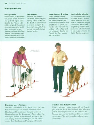 Hunde erziehen: Mein Übungsbuch für unterwegs