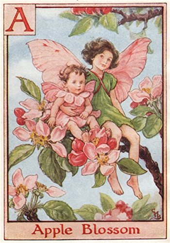 Antiqua Print Gallery Cicely Mary Barker Apfelblütenfee mit Alphabet-Blumenfeen – c1934 – Vintage-Druck – Kunstdruck von Blumenfeen