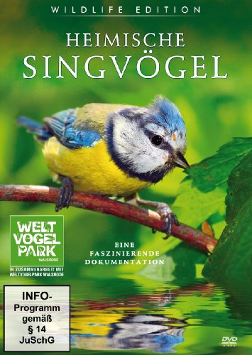 Heimische Singvögel