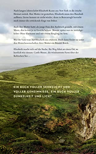 Eine irische Familiengeschichte