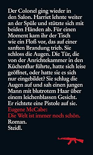 Die Welt ist immer noch schön: Roman