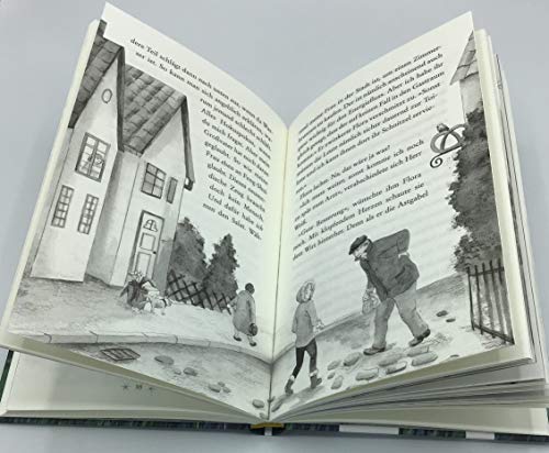 Eulenzauber (6). Hilfe für das kleine Fohlen