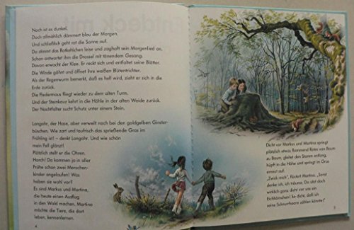 Entdeck mit uns die Tiere im Wald!