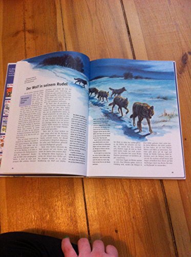 Was ist was, Band 104: Wölfe