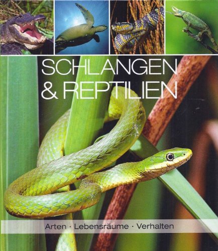 schlangen & reptilien