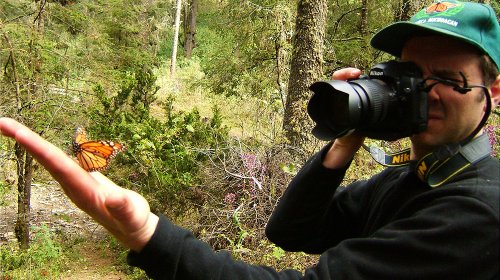 Die Reise des Schmetterlings - Das Geheimnis des Monarchfalters