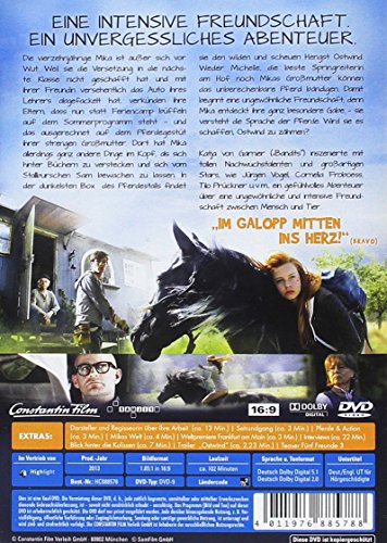 Ostwind (DVD)