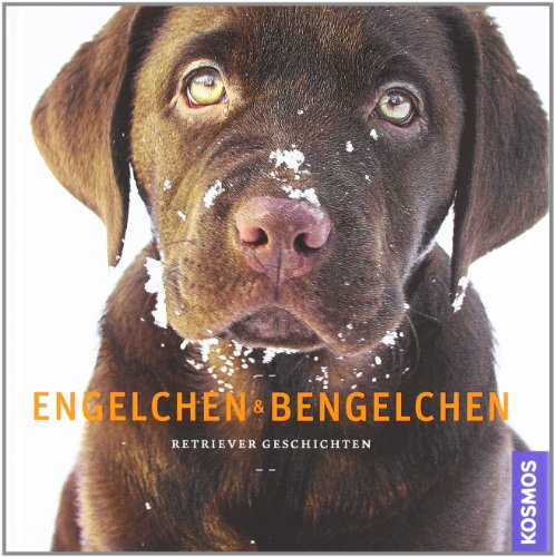Engelchen & Bengelchen: Retriever Geschichten