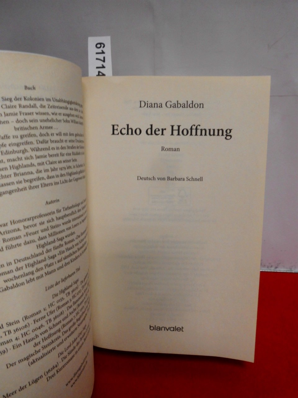 Echo der Hoffnung: Roman (Die Highland-Saga, Band 7)