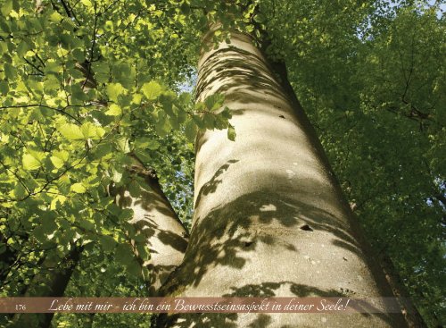 Lebe mit mir. Ich bin ein Bewusstseinsaspekt in deiner Seele