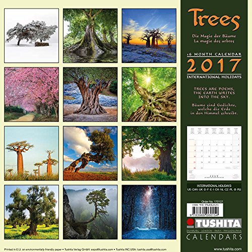 Noch besser leben ohne Plastik