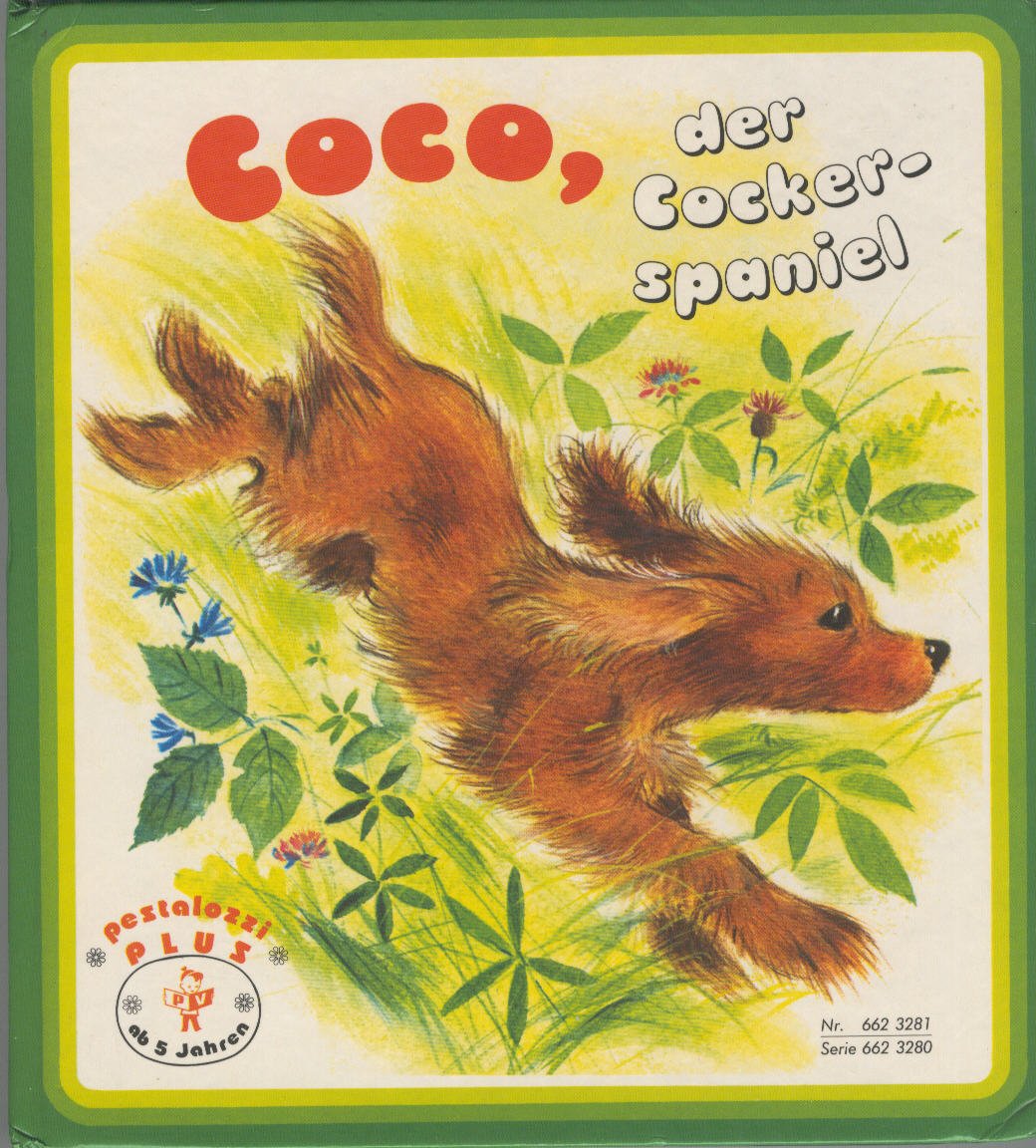 Coco, der Cockerspaniel
