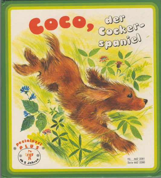 Coco, der Cockerspaniel