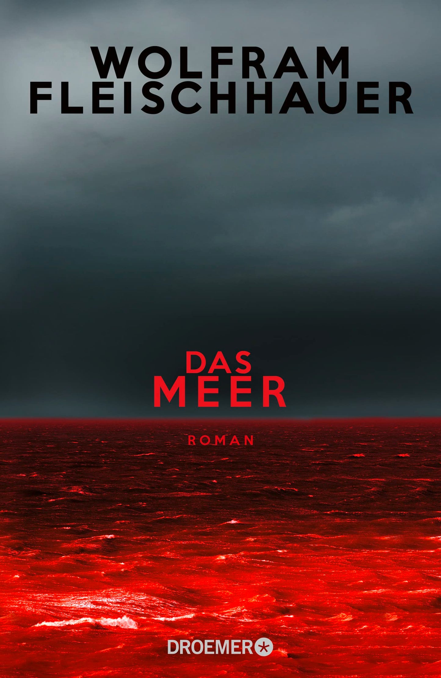 Das Meer: Roman