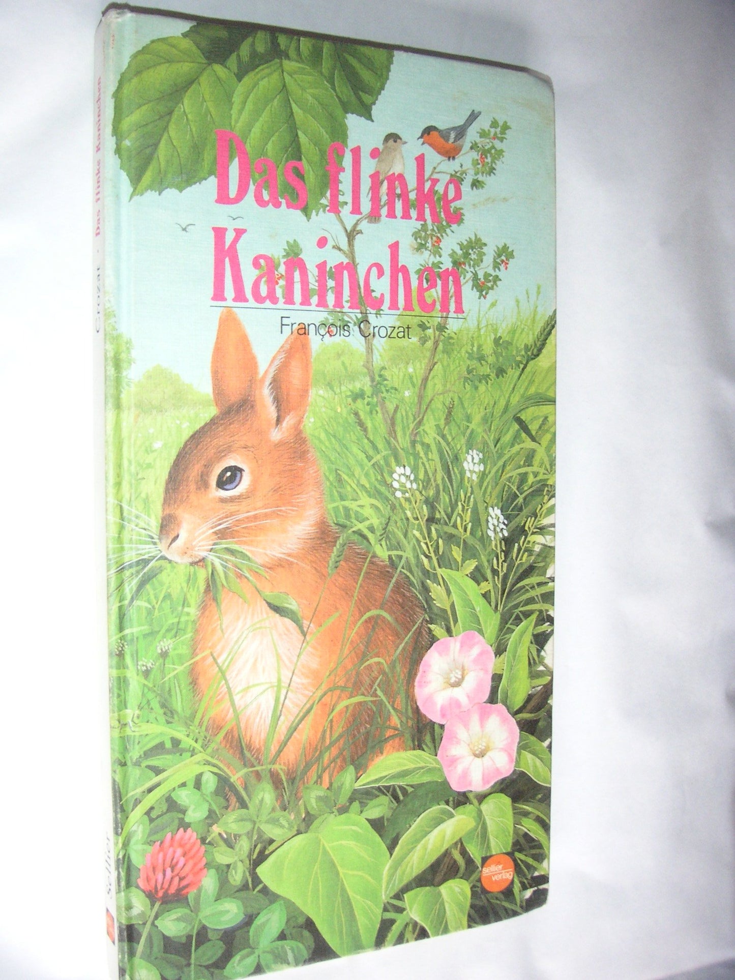 Das flinke Kaninchen