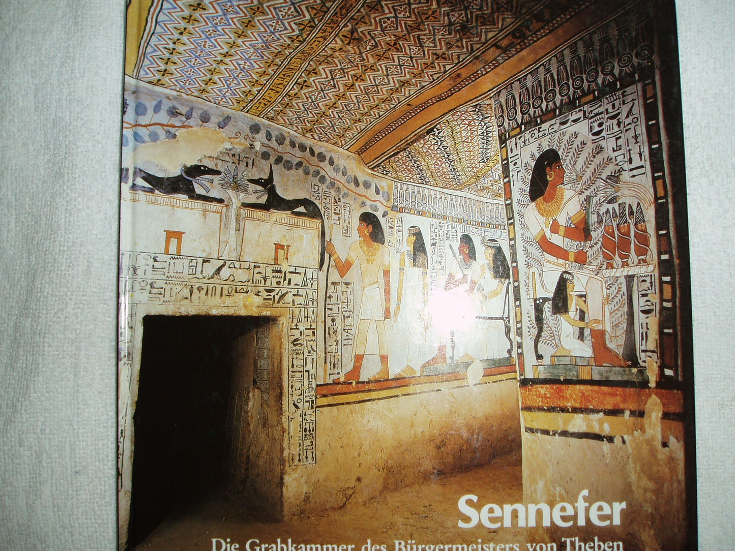 Sennefer. Die Grabkammer des Bürgermeisters von Theben