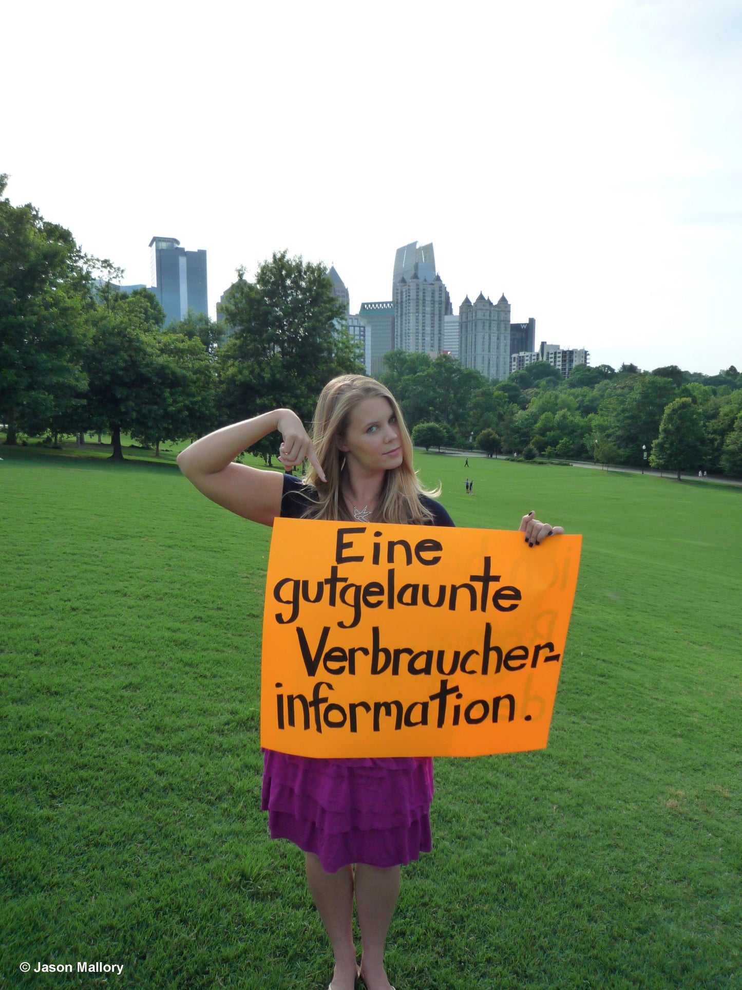 Drei Wünsche hast du frei: Roman